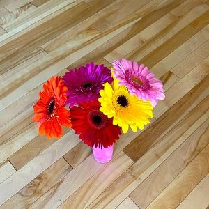 Meet your Posher, Tara